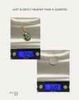 Abalone Drop Earrings