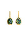 Abalone Drop Earrings