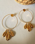Gold Cowrie Shell Hoops