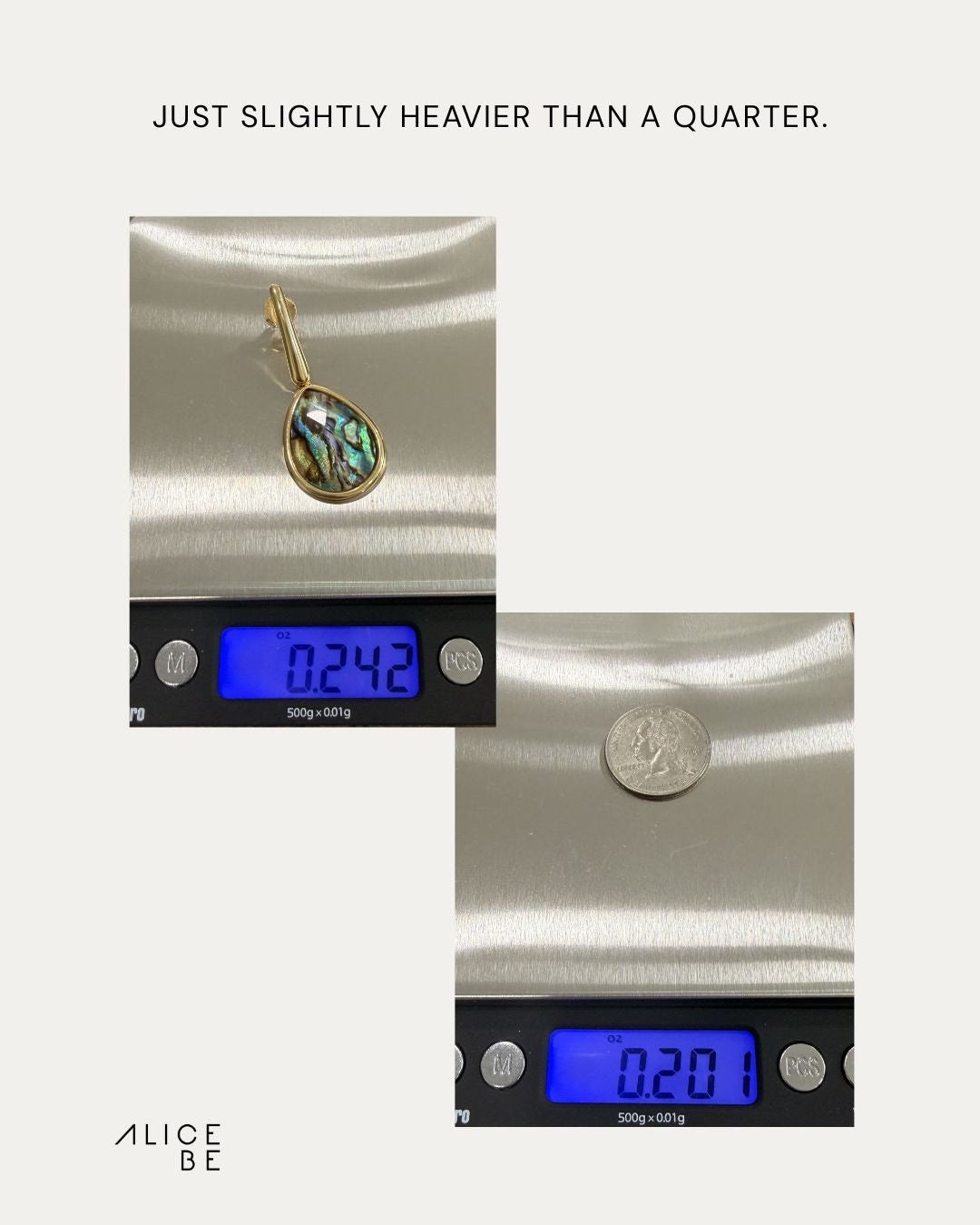 Abalone Drop Earrings